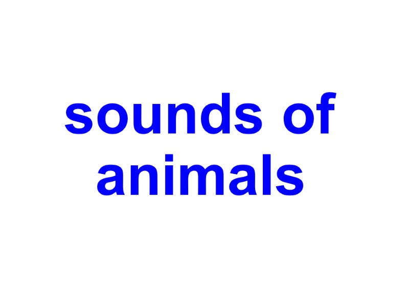 sounds of   animals
